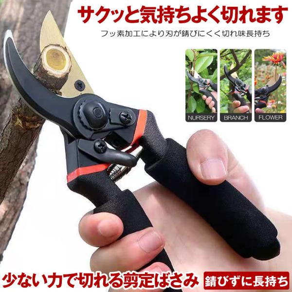 錆びにくく長持ち!フッ素加工の高性能剪定ばさみガーデニングのプロも驚く切れ味を実現!高硬度SK5鋼の刃は、太い枝もサクッと切断驚異的な切れ味を体験してくださいフッ素加工により、刃は錆びにくく、長期間その鋭さを保ちますメンテナンスが簡単で、い...