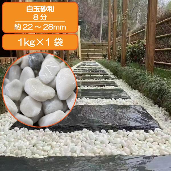 SK3268【特選】洁白 玉版 棉料 四尺 TAIKOH 高級白玉石 白仙 7厘 2-4mm 10kg 化粧砂利 ホワイト 白
