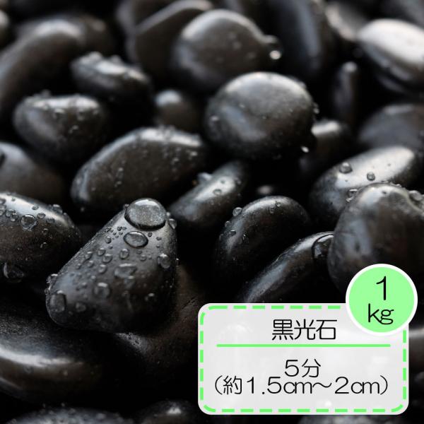 砂利 黒 黒玉 庭 磨き 磨き那智石 5分 約1 5 2cm 1kg入り Buyee Buyee Japanese Proxy Service Buy From Japan Bot Online