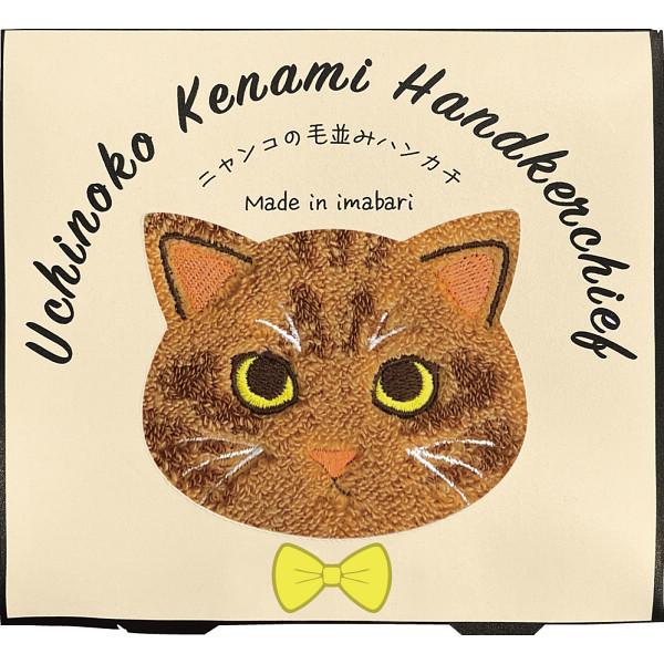 UCHINO Uchinoko mate 毛並みハンカチ 茶トラ 〈UNJ-801〉 タオル