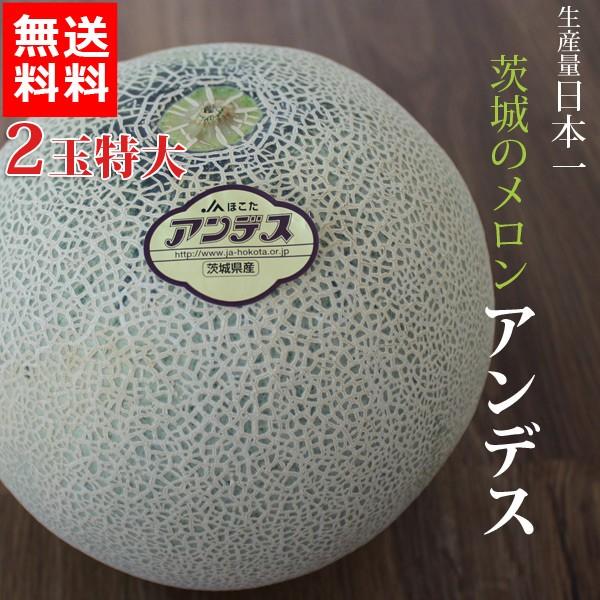 お中元 メロン 茨城 みんな探してる人気モノ お中元 メロン 茨城 食品