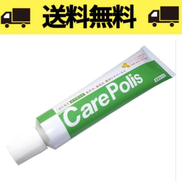 ケアポリス 75 g 歯科専売（1本）