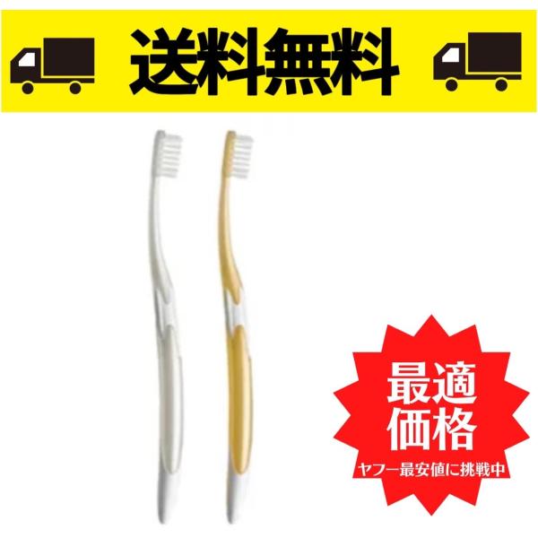 ジーシー ルシェロ ホワイト（White) W-10 6本入
