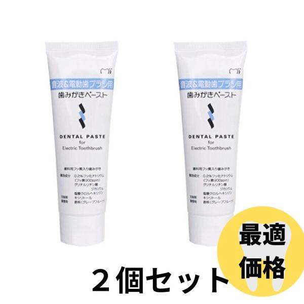 ジーシー(GC) 音波＆電動歯ブラシ用歯みがきペースト65ｇ ２個セット 歯磨き粉 ハミガキ 歯科専売品