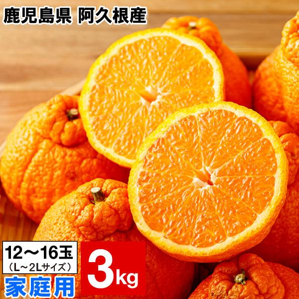大将季 デコポン 3kg 家庭用 訳あり 鹿児島県 阿久根産 みかん 不知火 柑橘 果物 フルーツ おいしい だいまさき 送料無料