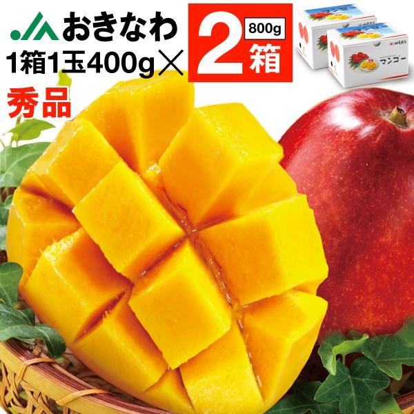 マンゴー 沖縄 秀品 JAおきなわ ギフト 完熟マンゴー 800g (1箱1