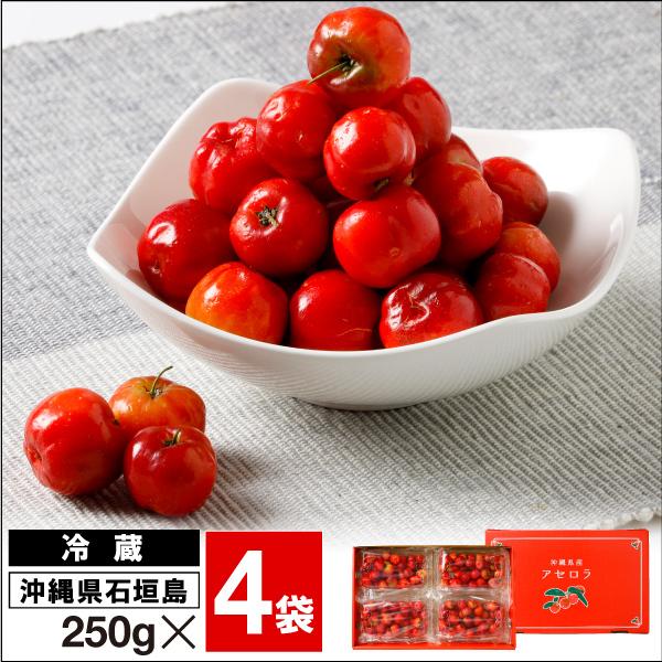 (ポイント2倍) 生アセロラ 国産 アセロラ 家庭用 果実 1kg 沖縄県 石垣島産 冷蔵便 ビタミンC 天然ビタミンC