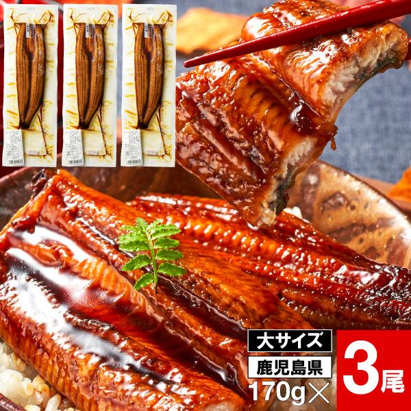 鹿児島県産うなぎの蒲焼を1尾ずつ真空パックにしてお届け！豊富な天然地下水で、餌にまでこだわって養殖されたうなぎは、こんがり香ばしく、身もふっくらでやわらか！上質な脂がのった、おいしいうなぎの蒲焼をお愉しみください。◇名称うなぎ蒲焼◇産地名国...