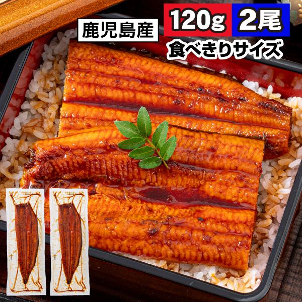 鹿児島県産うなぎの蒲焼を1尾ずつ真空パックにしてお届けします。豊富な天然地下水で、餌にまでこだわって養殖されたうなぎは、こんがり香ばしく、身もふっくらでやわらか！上質な脂がのった、おいしいうなぎの蒲焼をお愉しみください。◇名称うなぎ蒲焼◇産...