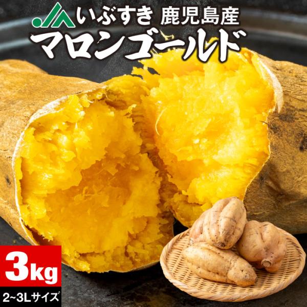 (ポイント2倍) さつまいも マロンゴールド JAいぶすき 鹿児島産 生芋 2L3L 3kg 希少 栗こがね 送料無料 サツマイモ