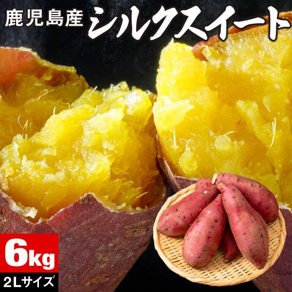 シルクスイート さつまいも 鹿児島 産地 直送 生芋 2L 6kg 送料無料
