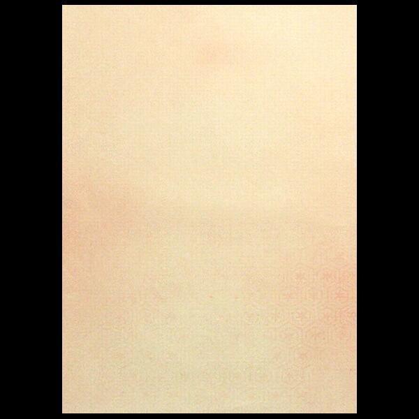 wxS 5FZbg 50b p ȗ ÕMՏ Kpɂ߁@艿1650