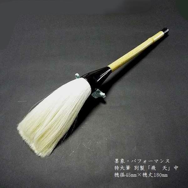  ptH[}XpM nсwʐ Vijxb M pi nەM ptH[}X 艿51700