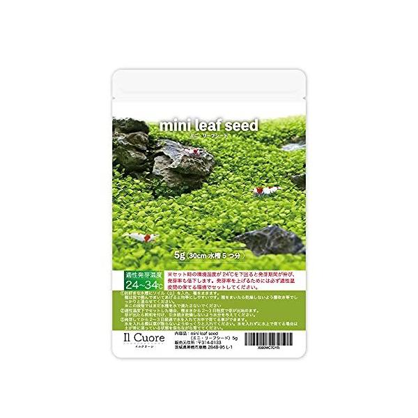 水草 種 シードの価格と最安値 おすすめ通販を激安で