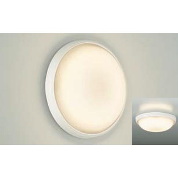 yDWP-38626Wz DAIKO  F 񒲌 d@