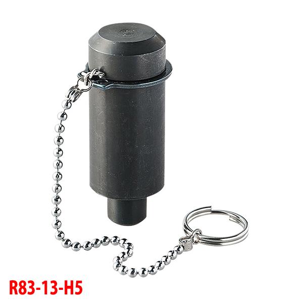 yR83-13-H5zOh zǗpi x[J Ci qWRps SANEI