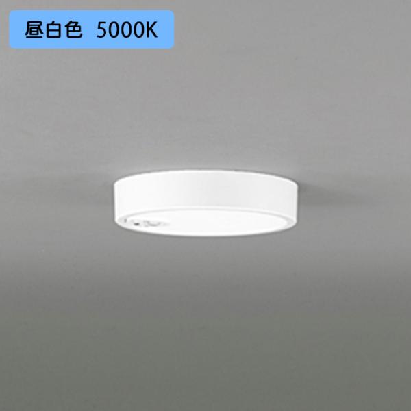 yOL251758RzI[fbN V[OCg LEĎ^ F lZT[t M 100W Es ODELIC