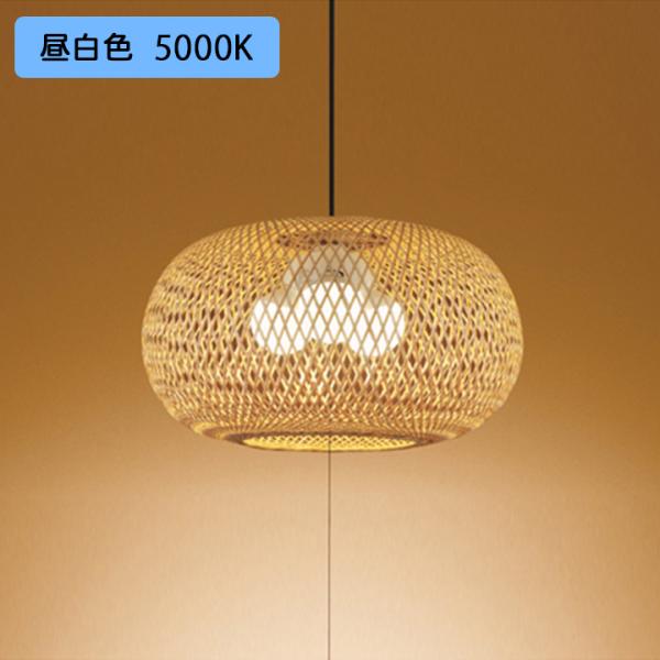 yOP052066NRzI[fbN aƖ y_gCg 4.5 LEDd{[` F s ODELIC