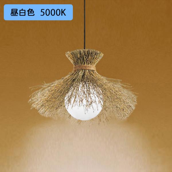 yOP035303NRzI[fbN aƖ y_gCg 60W LED F s ODELIC