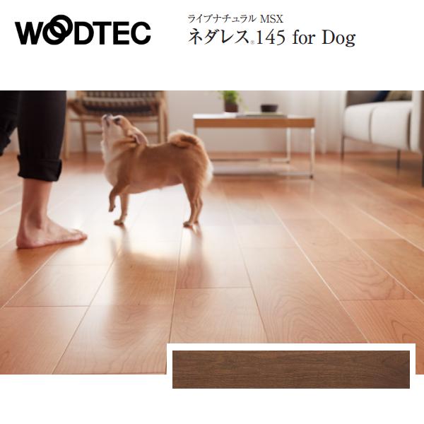 朝日ウッドテック ライブナチュラル MSX ネダレス145 for Dog LL-40 1P 