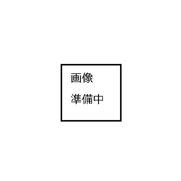 LIXIL/INAX 浴槽内握りバー BG-A-0090 LIXIL ◇【平日午後3時まで当日出荷】≪LIXIL BG-A-0090≫ 浴槽