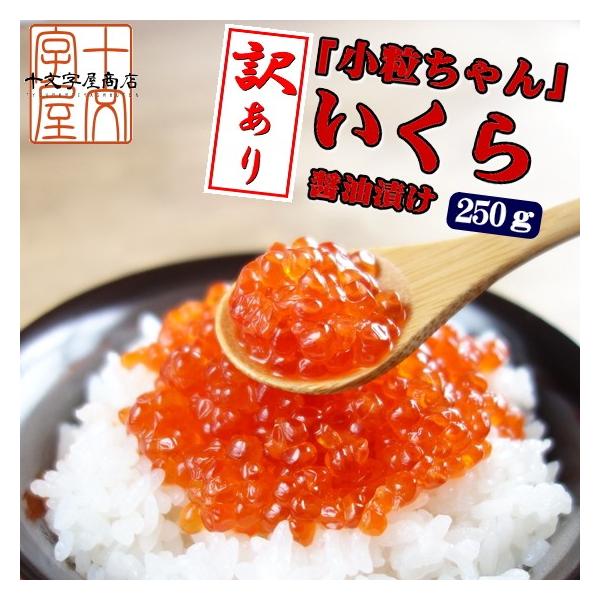 天然紅鮭イクラ訳アリ小粒ちゃん250ｇ わけありいくら訳あり 醤油漬け Buyee Buyee 日本の通販商品 オークションの代理入札 代理購入