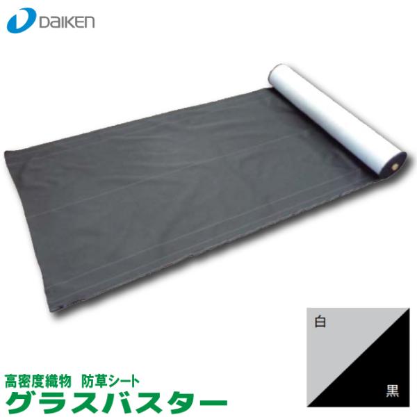 hV[g@OXoX^[@2m×50m@/yQM0401221zy匚HƁz