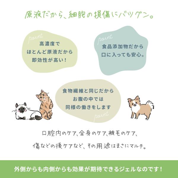 艶色 マルチジェル 動物用マルチケア 50g Tsuyairo K Wan 通販 Yahoo ショッピング