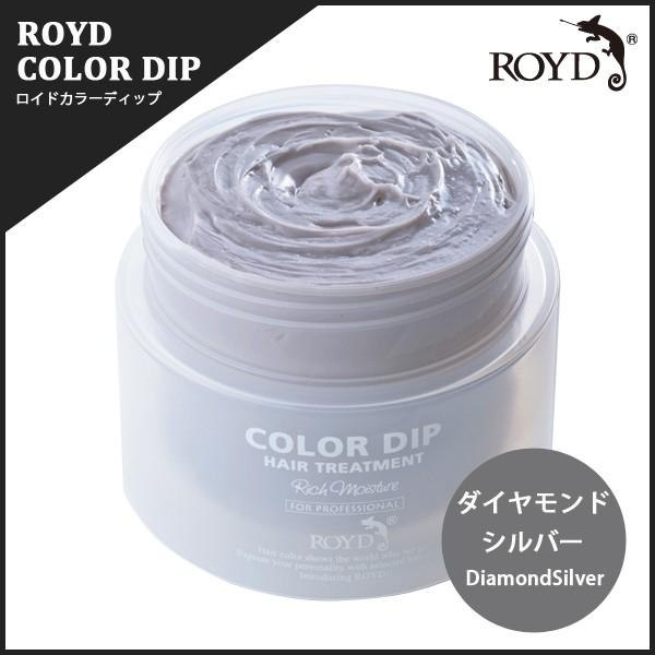 ロイド ヘアーカラーディップ ダイヤモンドシルバー ヘアーカラートリートメント 0g Royd Dip006 美容商材卸 Natural Life 通販 Yahoo ショッピング