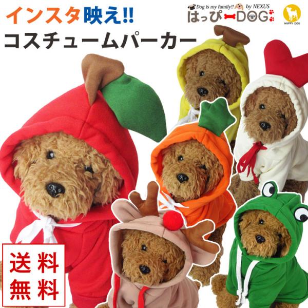    H~ H ~ ̕  gCv[h ` p[J[ g[i[ t[c RXv hbOEFA