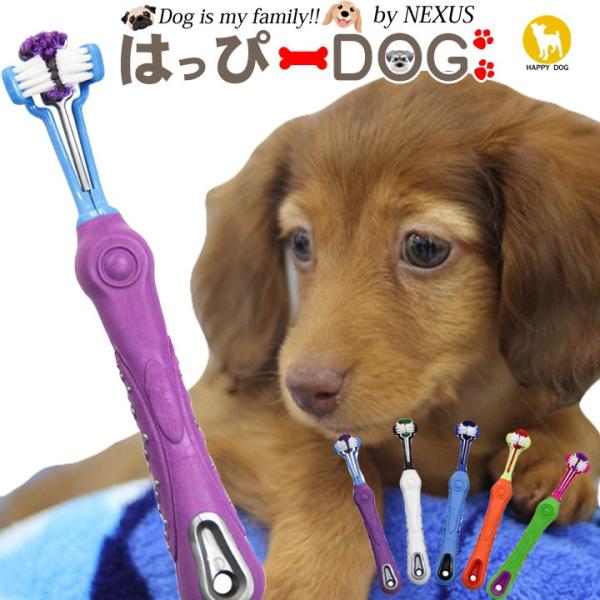 犬 歯磨き (グッズ) - ペットの人気商品・通販・価格比較 - 価格.com 犬 歯磨き (グッズ) - ペットの人気商品・通販・価格比較 - 価格.com