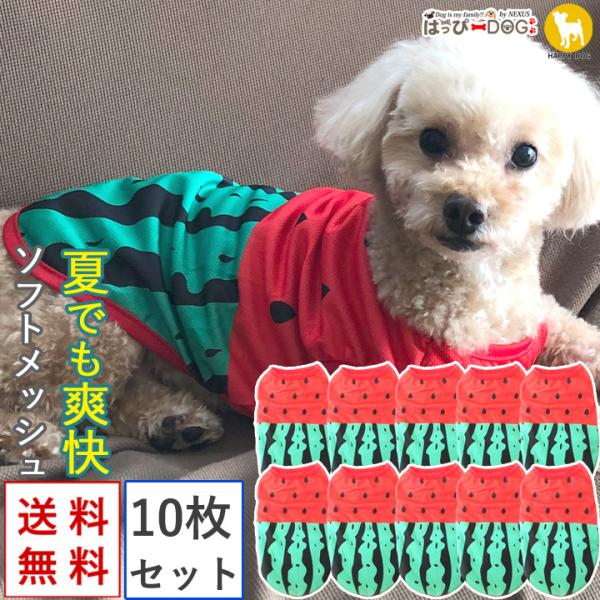    10Zbg gCv[h   ̕ ₷ ^Ngbv t[c XCJ bVhbOEFA