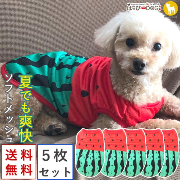    5Zbg gCv[h   ̕ ₷ ^Ngbv t[c XCJ bVhbOEFA