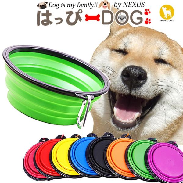 1000~|bL ybg H  S  t[h{E ybg{E ܂肽 g ybgpi a ybgt[h hbOt[h 