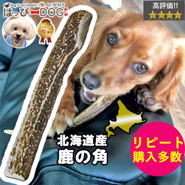 わんちゃんのおもちゃとして大人気のエゾ鹿の角です。ほんのりとした香りが犬の「噛む本能」を刺激★噛み応えがありますので、口臭対策にも◎サイズ：約20cm原材料：エゾシカの角原産国：日本（北海道）【注意事項】・天然のエゾシカの角なので、形・色合...