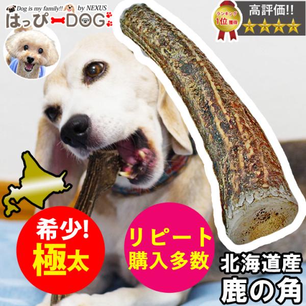 わんちゃんのおもちゃとして大人気のエゾ鹿の角です。ほんのりとした香りが犬の「噛む本能」を刺激★噛み応えがありますので、口臭対策にも◎サイズ：画像にて表記原材料：エゾシカの角原産国：日本（北海道）【注意事項】・天然のエゾシカの角なので、形・色...
