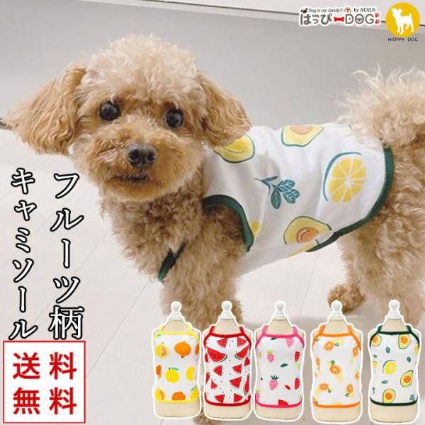 gCv[h     ̕ L~\[ Ȃ  t[c hbOEFA 