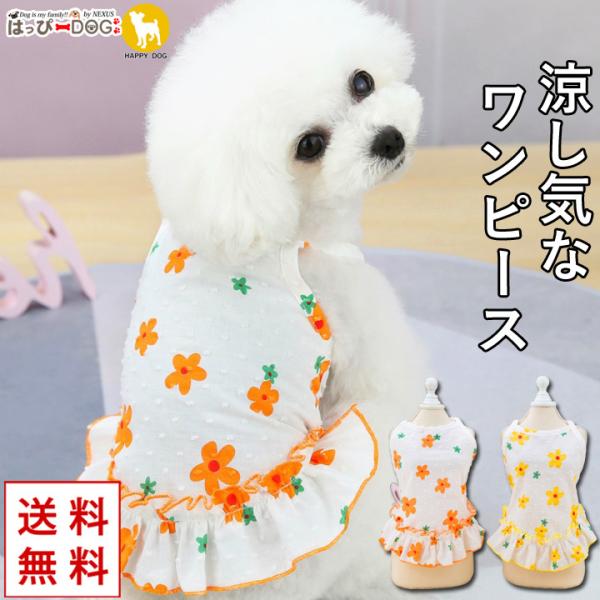 gCv[h    ̕ t[c s[X L~\[ Ȃ   