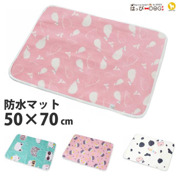 hV[c h}bg hV[g ybg}bg ˂V[c xr[  ybg  L 