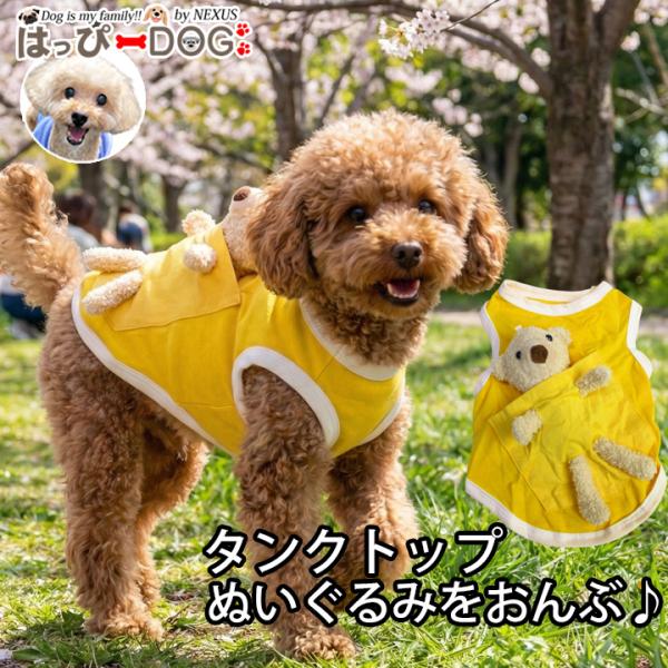 くまちゃんタンク☺︎わんこふく　犬服 k-city_md601211