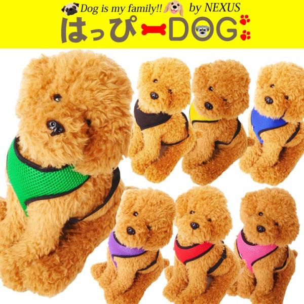    ̕  gCv[h ` hbOEFA ANZT[  