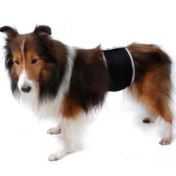 犬 服 犬服 犬の服 おしゃれ トイプードル チワワ ドッグウェア マナーベルト マナーバンド 腹巻 おしっこ対策 送料無料 Buyee Buyee 日本の通販商品 オークションの代理入札 代理購入