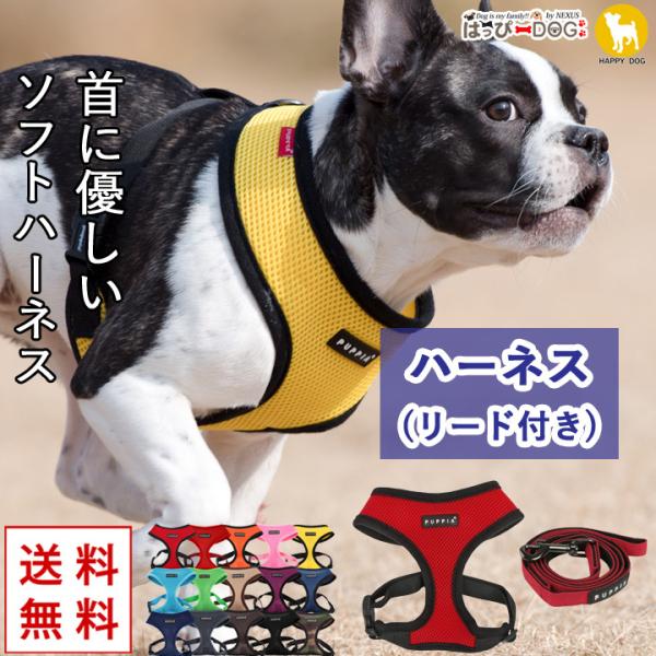 はっぴーDOG 犬 リード ハーネス セット 胴輪 小型犬 中型犬