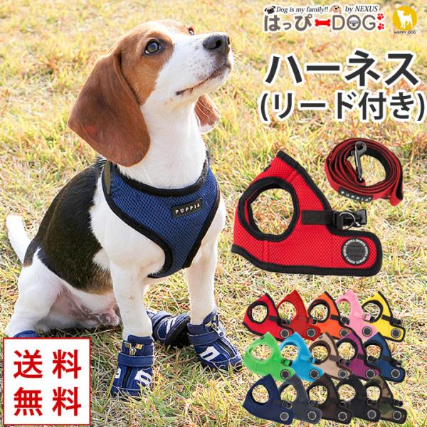  [h n[lX Zbg  ^ ^ Vv  ȒP Ȃ EȂ  psA 