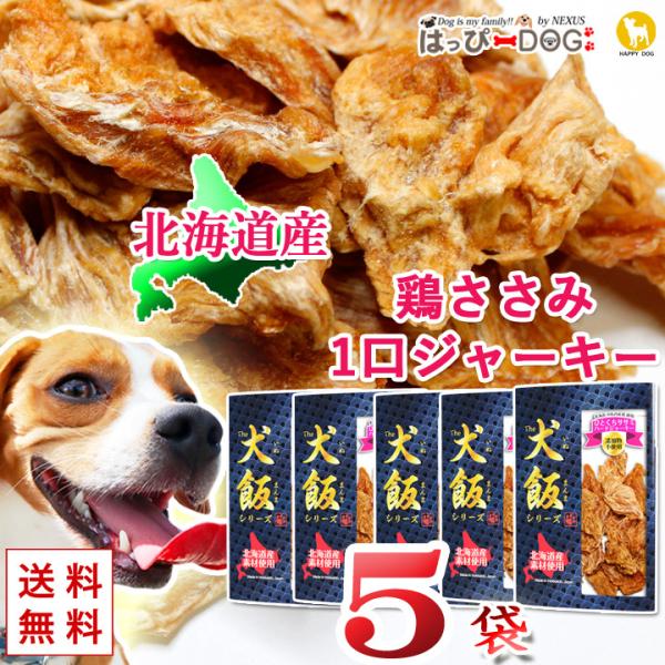 y5܃ZbgzykCY ̂ Yz {TT~ n[hW[L[ hbOt[h   kCY Y Y ybg v[g yTHE 