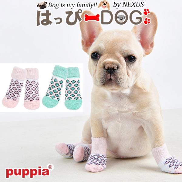 C C C ~ qE    ̕  gCv[h ` hbOEFA PUPPIA psA Ki 