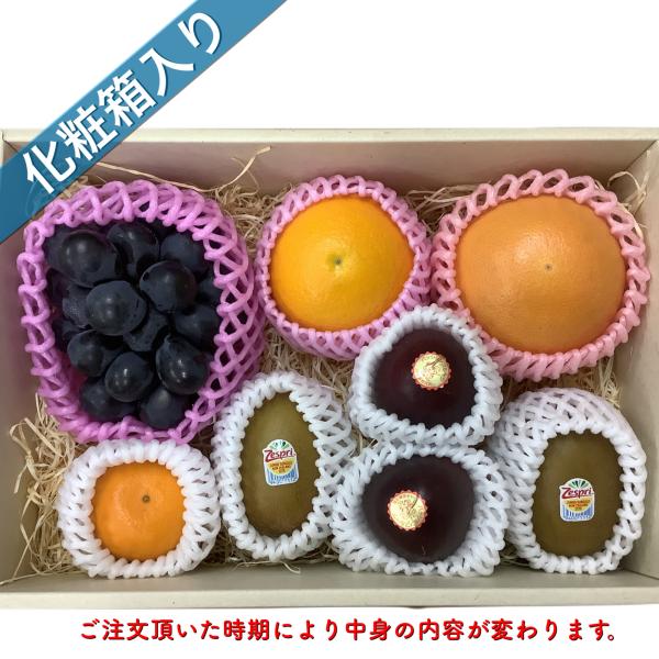 フルーツセット 果物セット 果物詰め合わせ フルーツ詰め合わせ