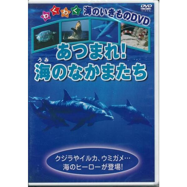 あつまれ 海のなかまたち わくわく海のいきものDVD : DAIHAN