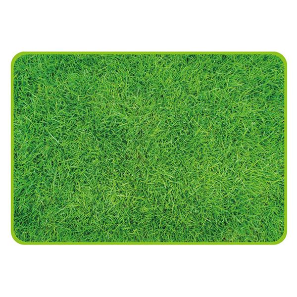 p[ D-2335 sN`[ W[V[g 70×100cm VotiŐj