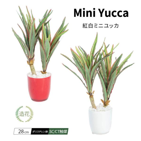 フェイクグリーン 卓上 人工観葉植物 ミニ 小さい 光触媒 赤 白 鉢植 28cm 造花 リアル インテリア  テーブル バレンタインデー 母の日 / 紅白ユッカ